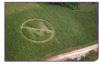 080922_monsanto.jpg