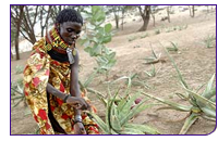 081222_practicalaction.jpg 081222_practicalaction.jpg
