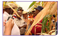 090220_monsanto.jpg