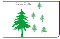 091209_carboncredits.jpg 091209_carboncredits.jpg